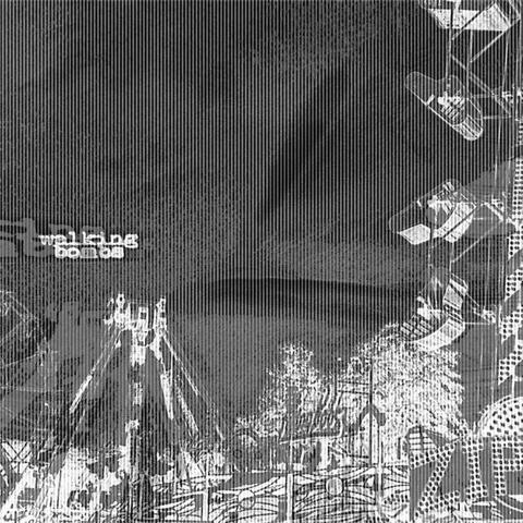 View from the Top of the Wheel