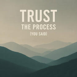 Trust - the Process (You Said)