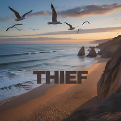 Thief