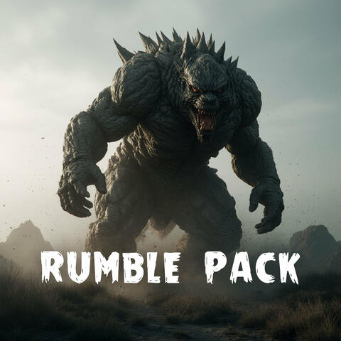 Rumble Pack