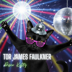 Disco Kitty
