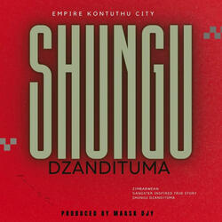 Shungu Dzandituma