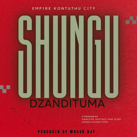 Shungu Dzandituma