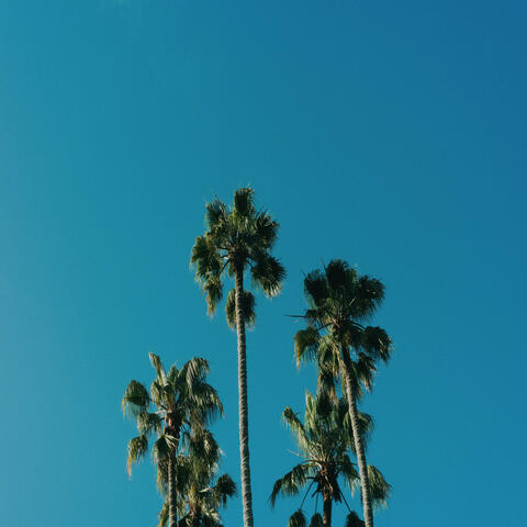 Breath Is Home