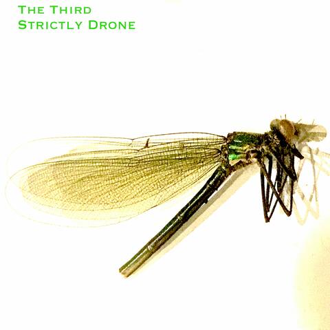 The Third Strictly Drone