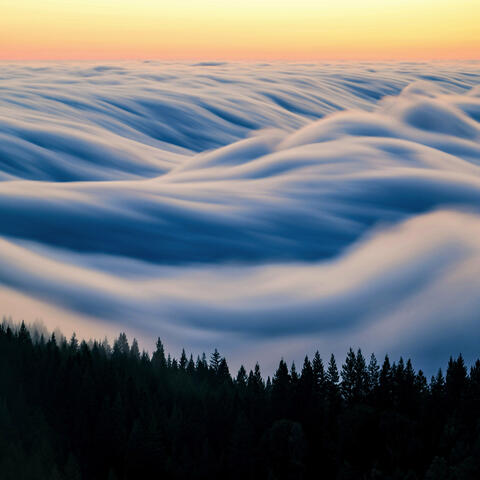 Celestial Dreams