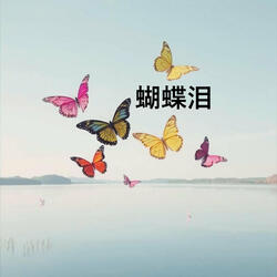 星光灿烂