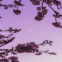 Waking the Soul