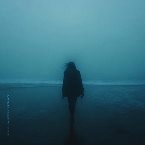 You Never Looked Back