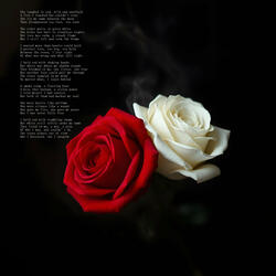 Two Roses