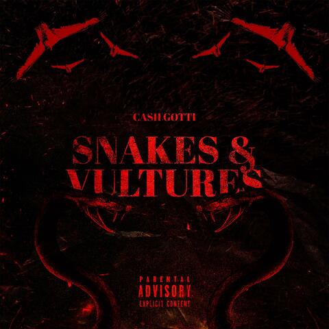 Snakes & Vultures