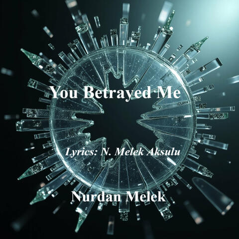 You Betrayed Me