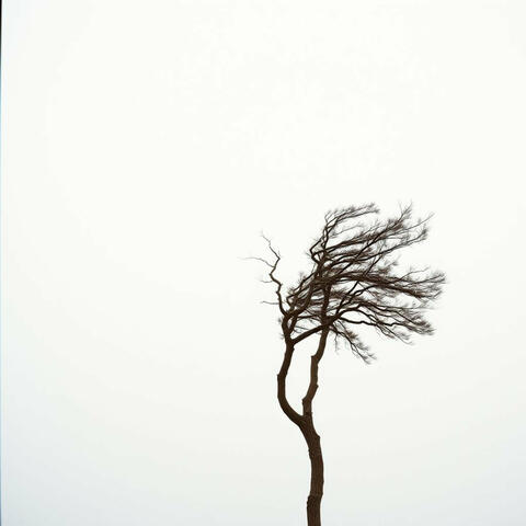 When the Wind Doesn't Blow My Way