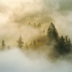 Tranquility