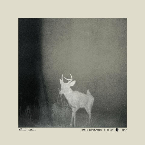 Tobacco + Deer