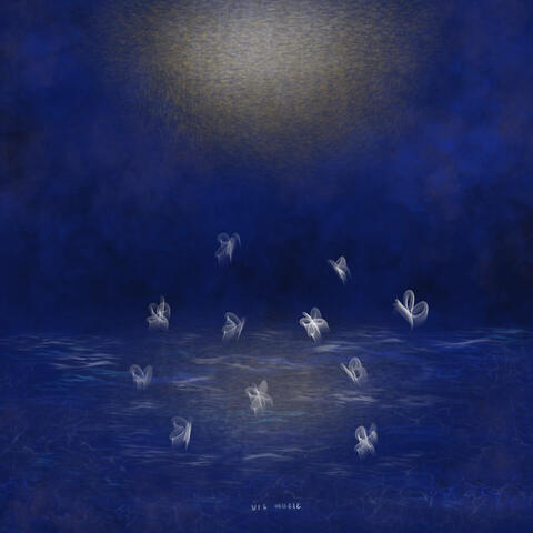 ผีเสื้อล้อเงาจันทร์ (Moonlit Butterflies)