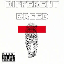 Different Breed