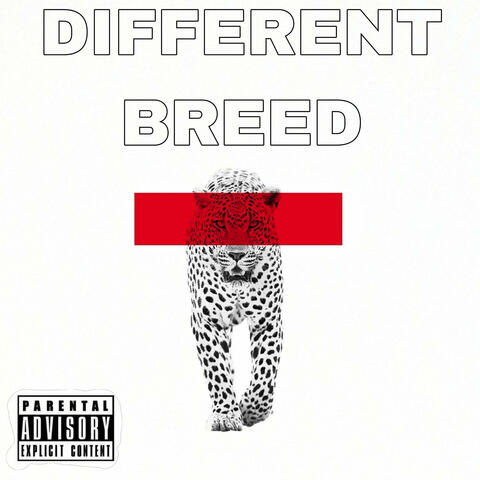 Different Breed