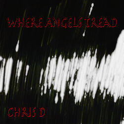 1. Where Angels Tread