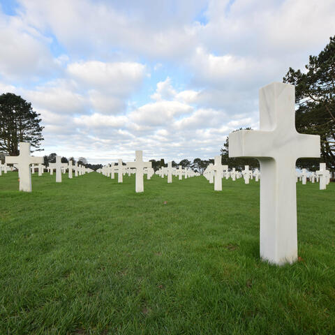 Remembrance Day 2025 (Abide with Me)