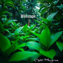 Wildscape