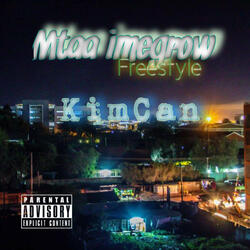 Mtaa Imegrow Freestyle
