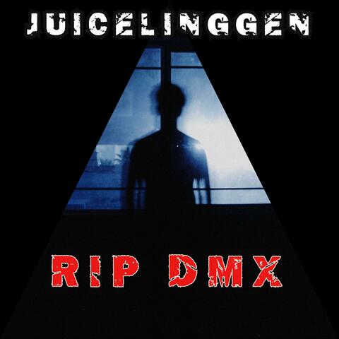 RIP Dmx