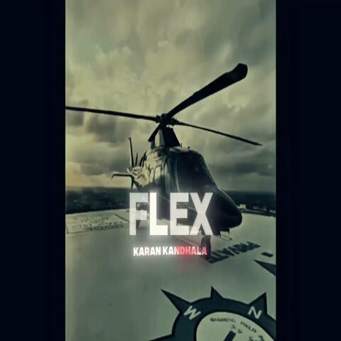 Flex Karan Waale — Desi Shot-Callers