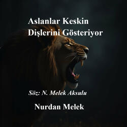 Aslanlar Keskin Dişlerini Gösteriyor