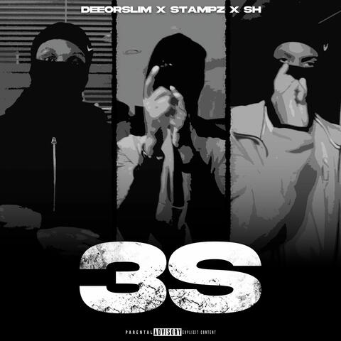 3S