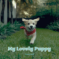 My Lovely Puppy