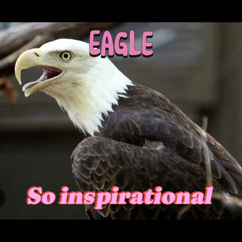 So Inspirational
