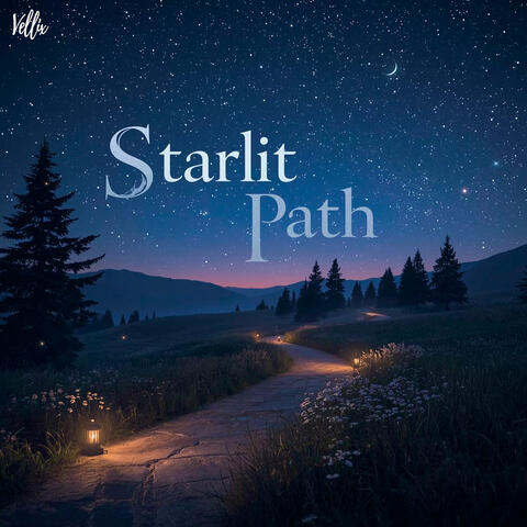 Starlit Path
