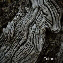 Totara