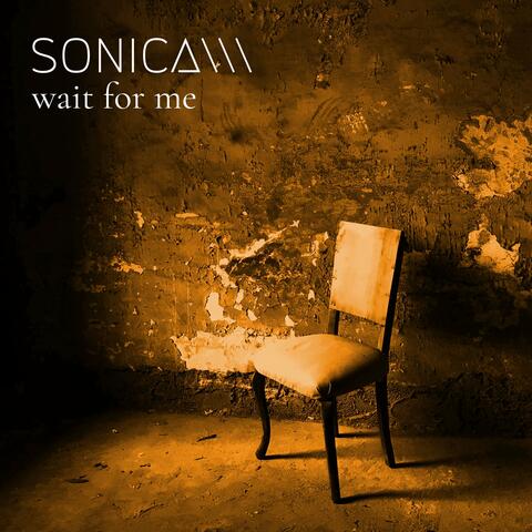 Wait for Me