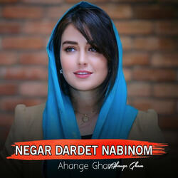 Negar Dardet Nabinom
