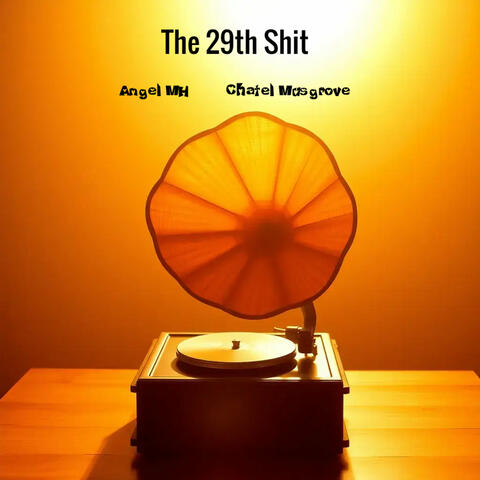 The 29th Shit