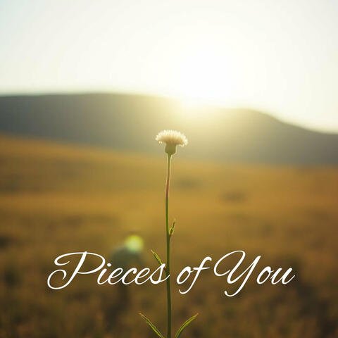 Pieces of You