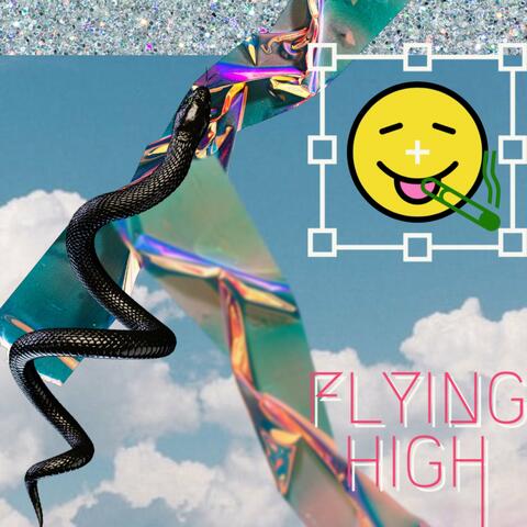 Flying High