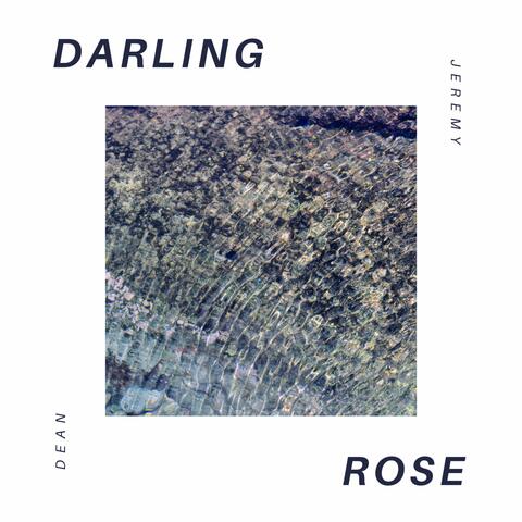 Darling Rose