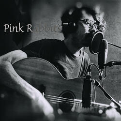 Pink Rabbits