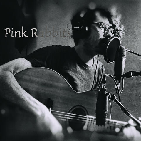 Pink Rabbits