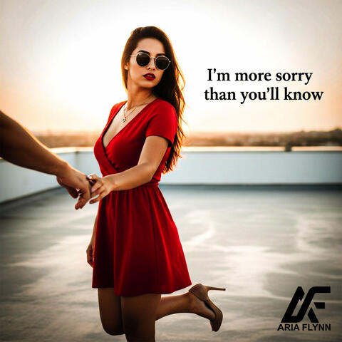 I'm More Sorry Than You'll Know