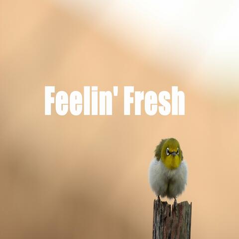 Feelin' Fresh