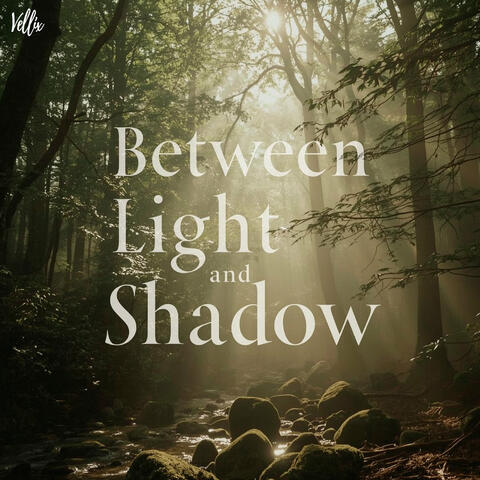 Between Light and Shadow