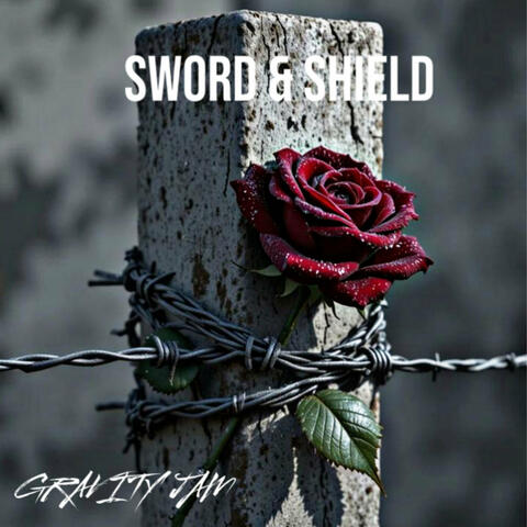 Sword & Shield