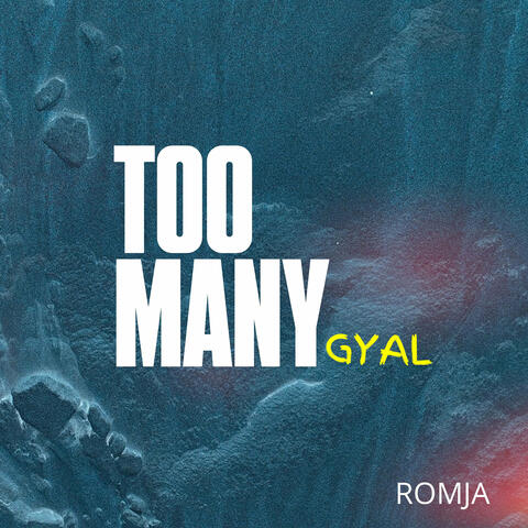 Too Many Gyal (Semi-Instrumental)