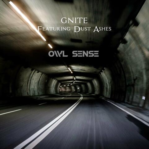 Owl Sense