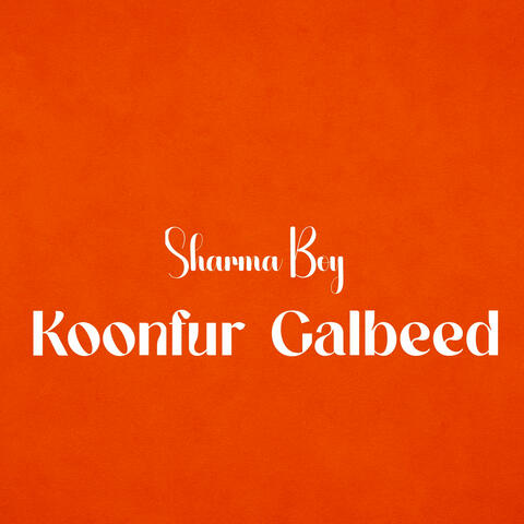 Koonfur Galbeed