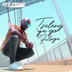 Tseleng ya go Fetoga